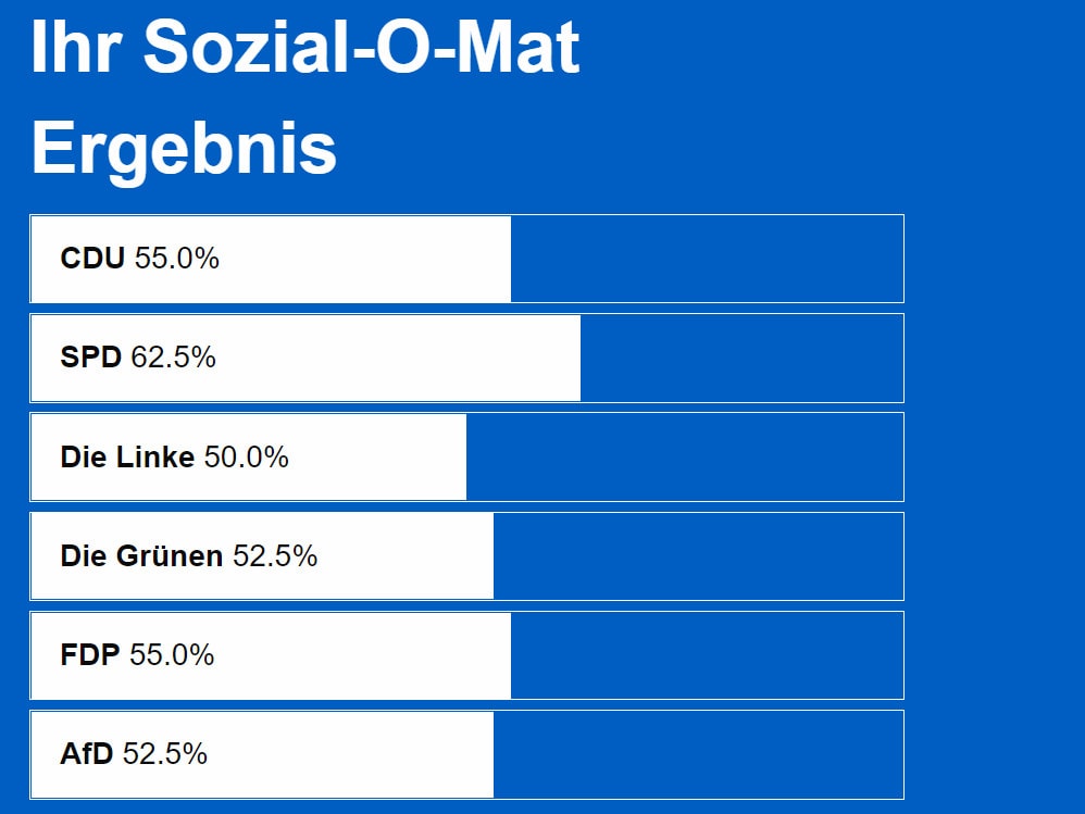 Sozial-O-Mat Auswertung