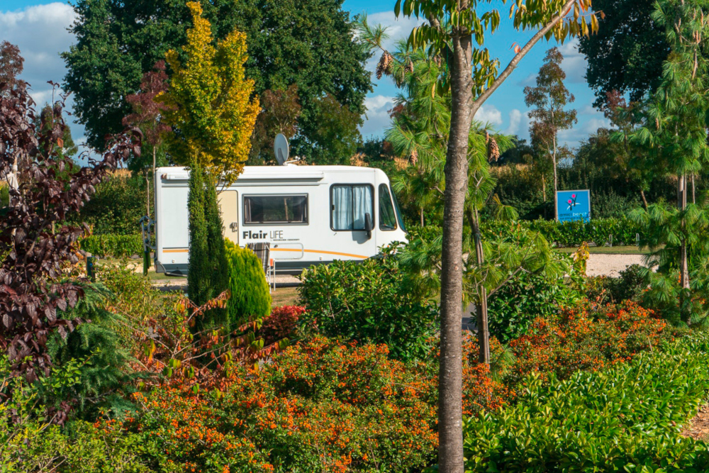 Weißes Wohnmobil hinter Bäumen und Büschen