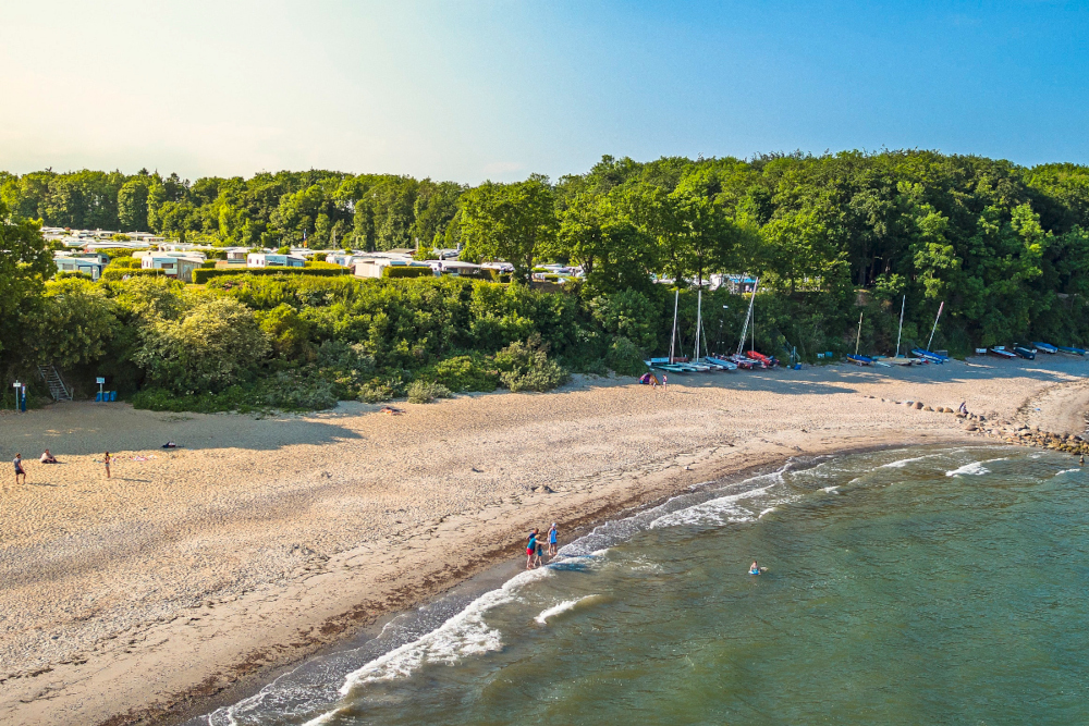 Strandabschnitt mit Wald