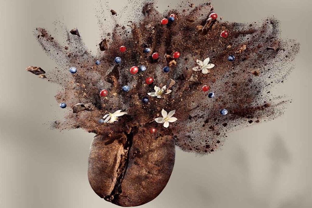 Es ist eine Kaffeebohne zu sehen, deren oberer Teil in Kaffeepulver, Schokoladenstücke, Beerenfrüchte und Blüten zerplatzt.