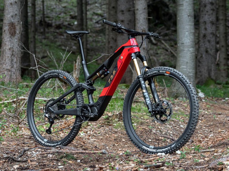 Das ROTWILD R.X735 im Wald stehend