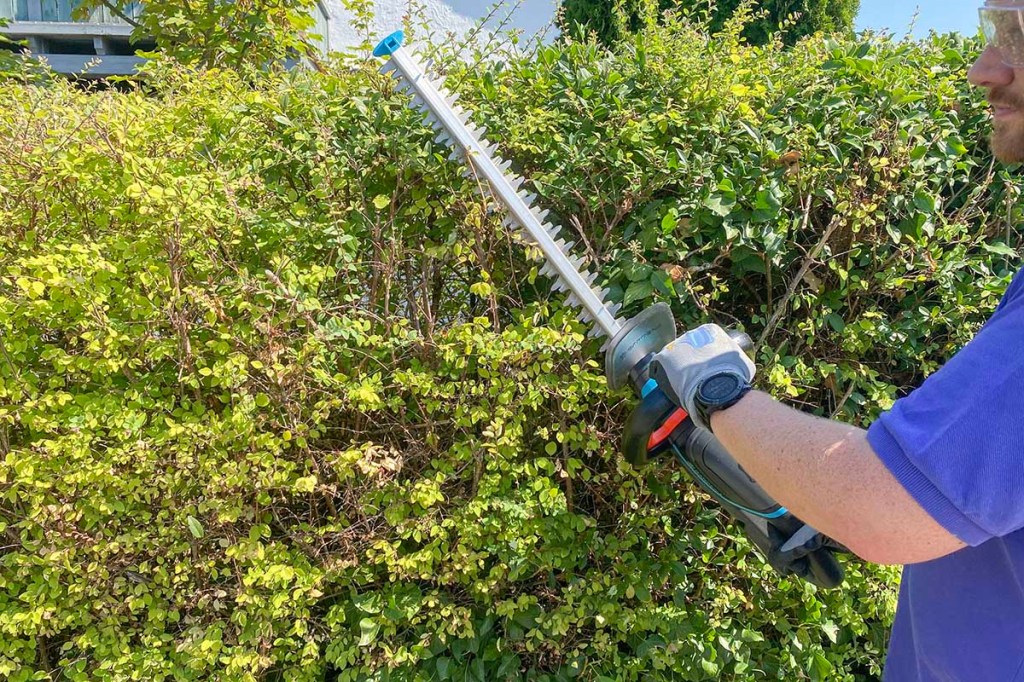Mann hält Heckenschere an grüne Hecke