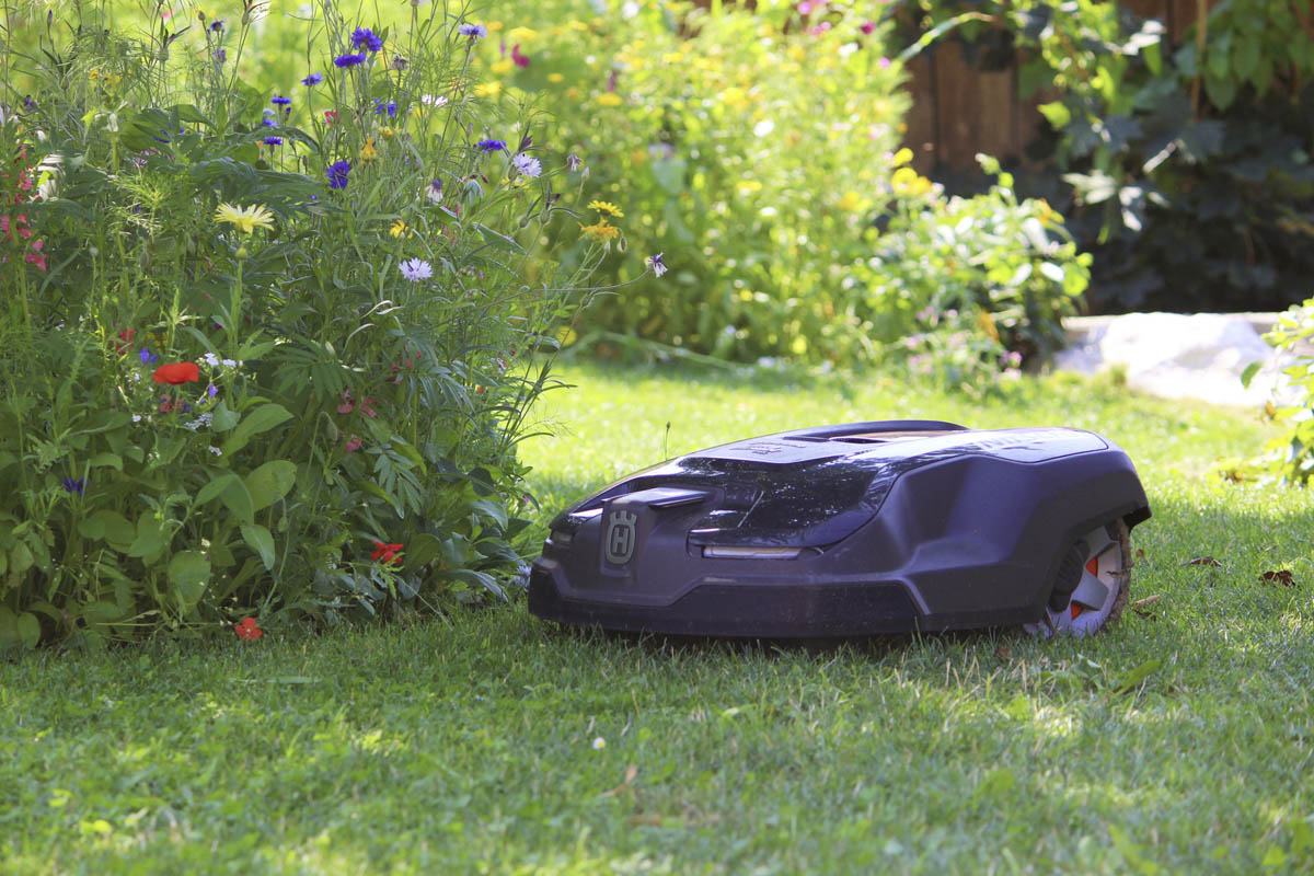 Der Husqvarna Rasenmähroboter neben einer Blumenwiese.