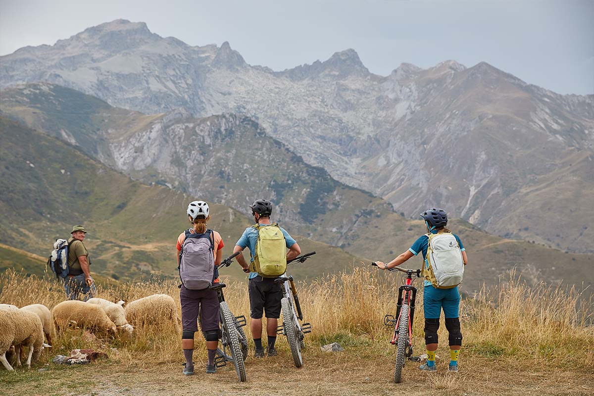 Drei Menschen stehen neben ihren Fahrrädern, man sieht sie von hinten, sie Blicken auf eine Schafherde, im HIntergrund Natur und Berge