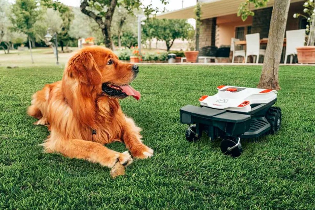 Ein Golden Retriever liegt im Gras, daneben steht ein Mähroboter.