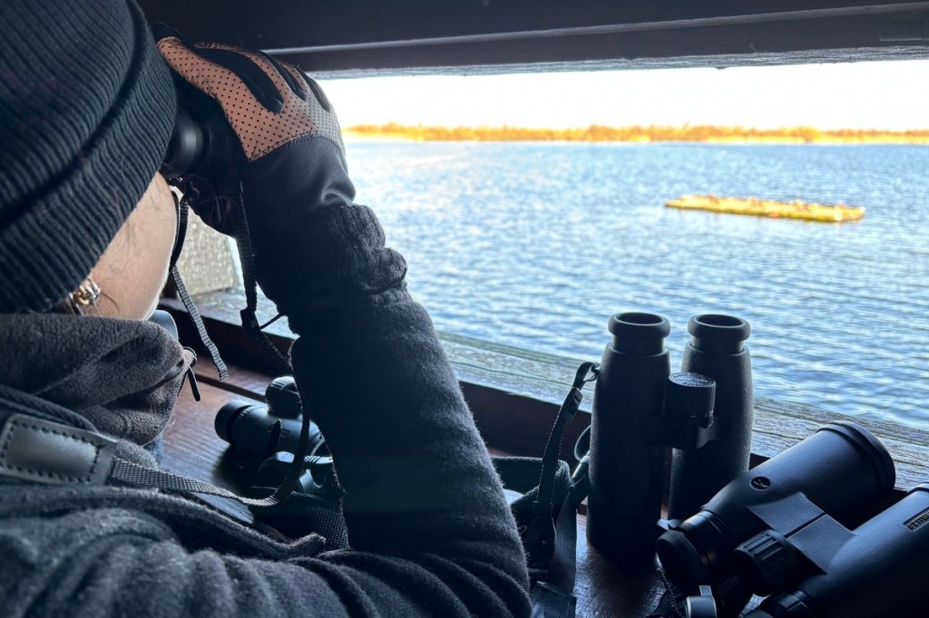 Ein Frau schaut durch ein Fernglas auf einen See, vor ihr auf einem Tisch liegen noch weitere Ferngläser.