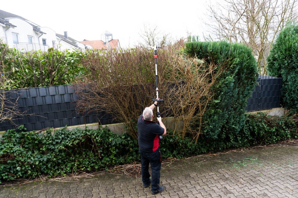 Eine Person schneidet mit einer Hochheckenschere einen Strauch