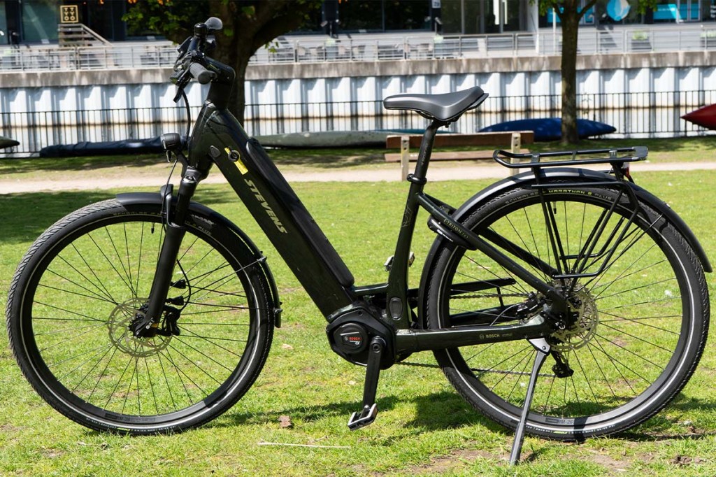 E-Bike auf einer Wiese stehend