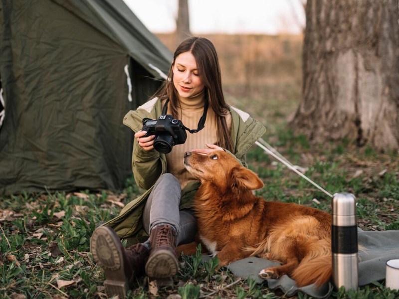 Camping mit Hund: Die besten Tipps für einen schönen Urlaub