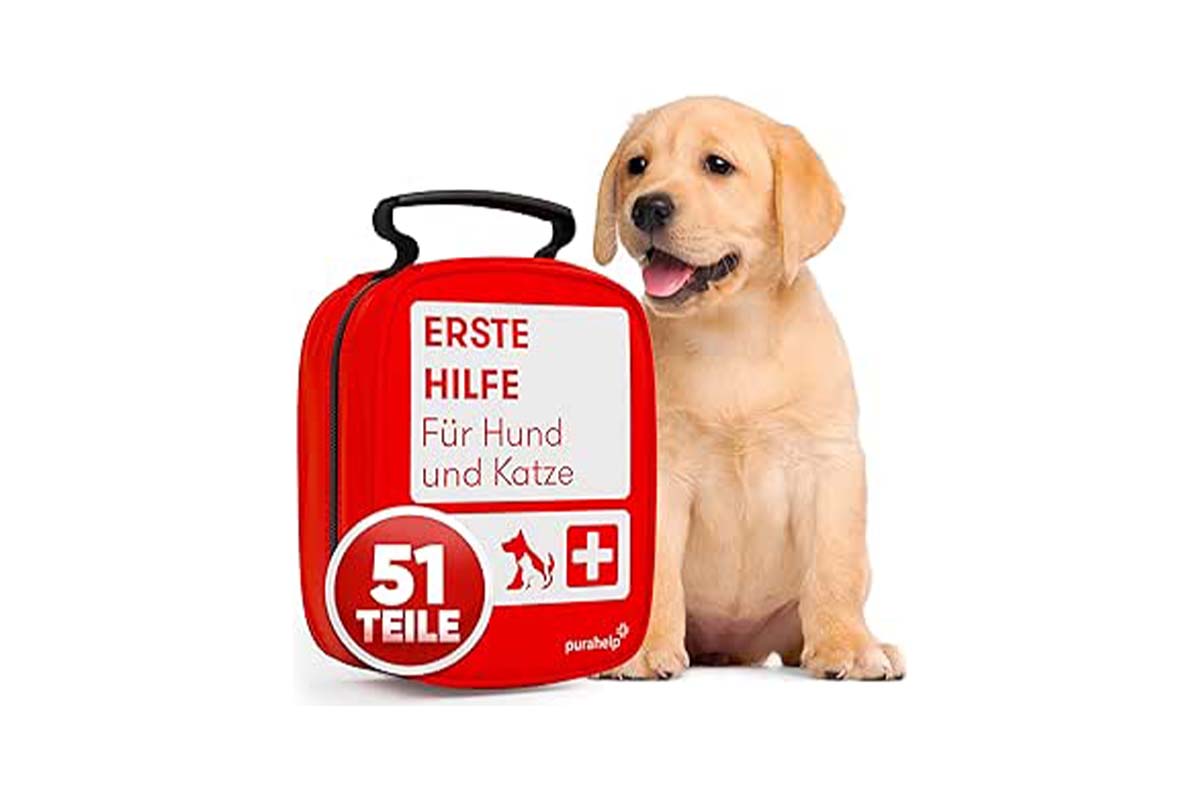 rote Erste Hilfe Tasche, daneben ein Hundewelpe, weißer Hintergrund