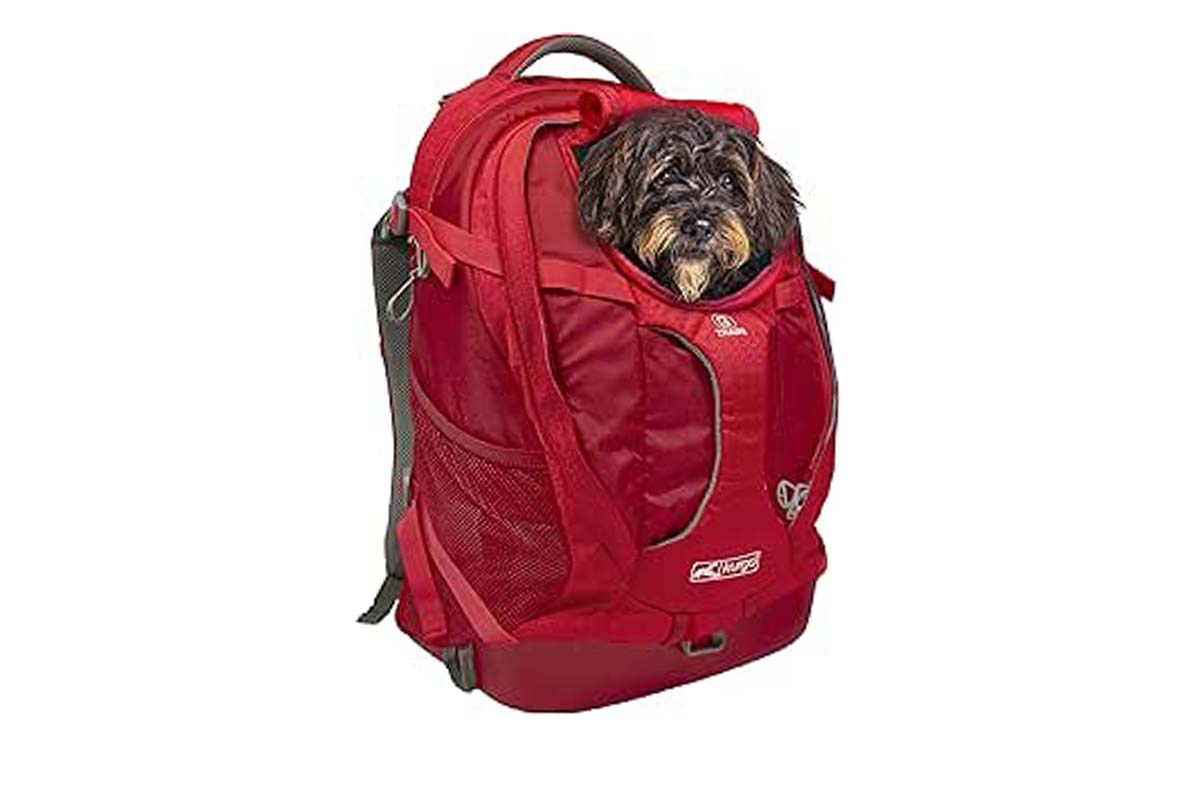 roter Hunderucksack mit Hundekopf, der rausguckt, auf weißem Grund