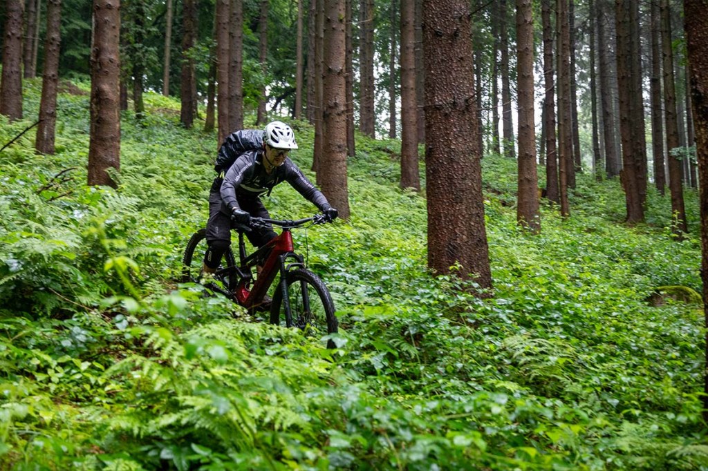 Mann fährt mit einem E-Mountainbike durch dickes Gestrüpp im Wald