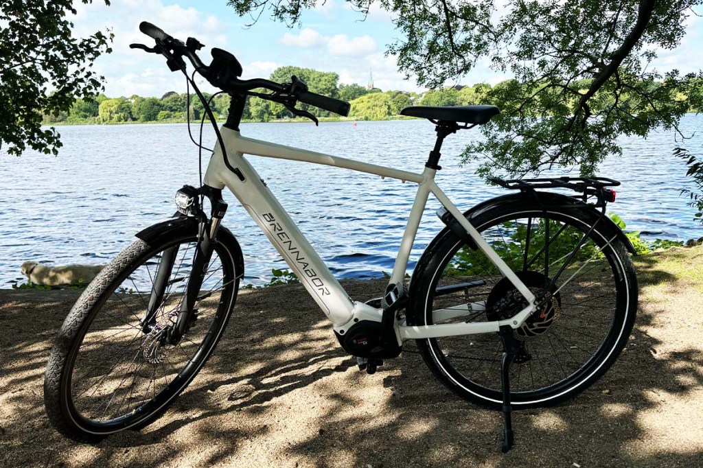 Weißes E-Bike vor einem See stehend