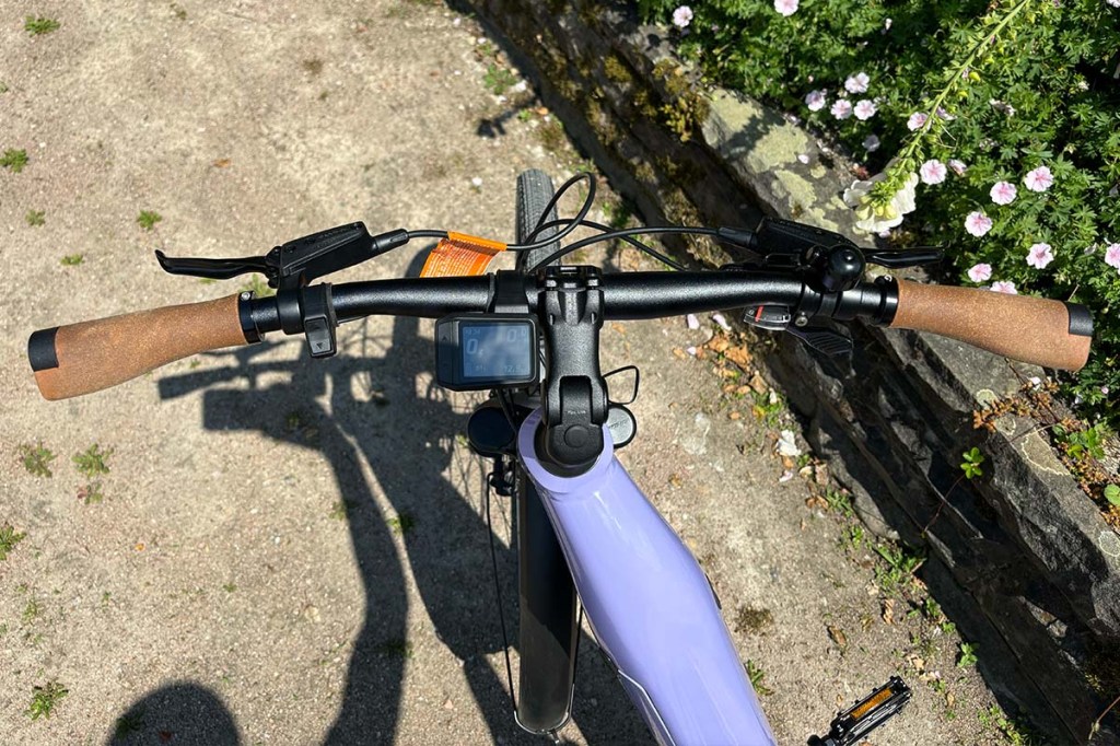 Blick auf einen E-Bike-Lenker