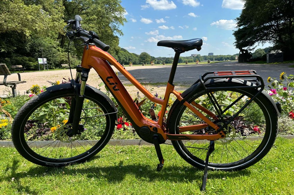 orangenes E-Bike in einem Park stehend