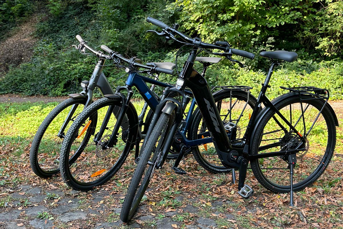 Drei E-bikes nebeneinanderstehend, Büsche im Hintergrund