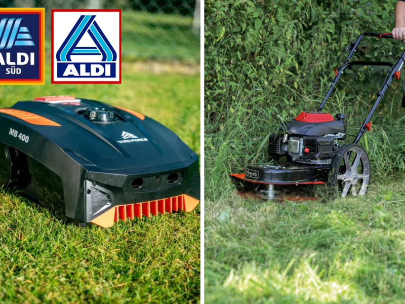 Die besten Aldi-Angebote aus dem Prospekt und Onlineshop